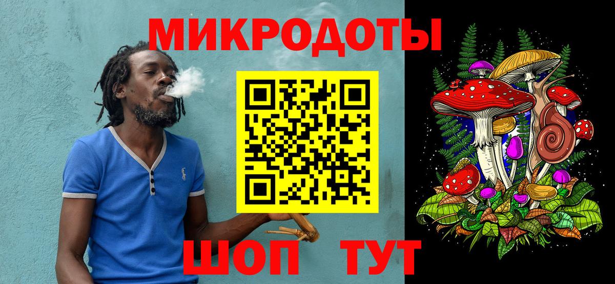 Галлюциногенные грибы Psilocybine cubensis Арсеньев